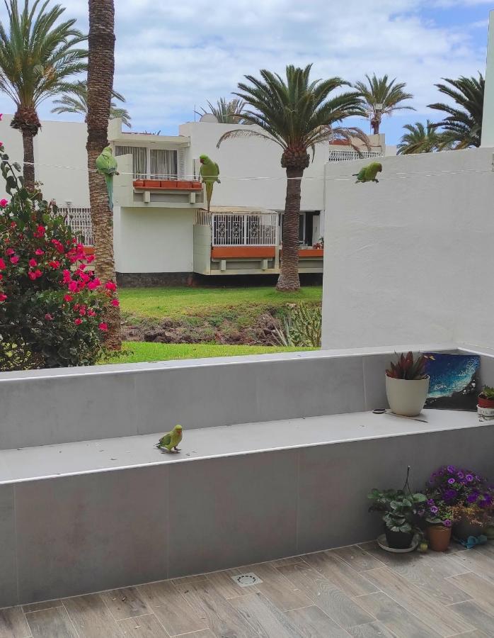 Ideal Holiday Apartment In The South Of Tenerife Costa Del Silencio Exterior photo